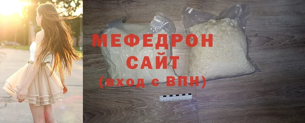молекула духа Вяземский