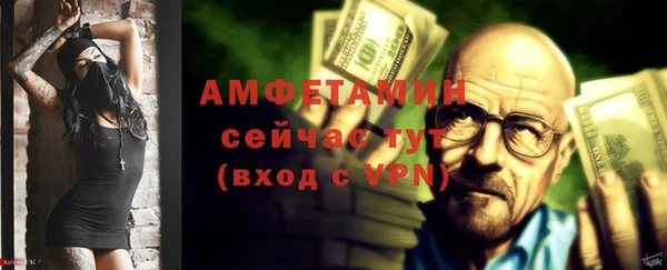 прущие грибы Вязьма