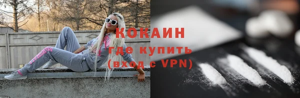 прущие грибы Вязьма