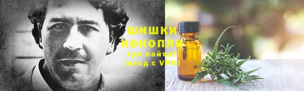 молекула духа Вяземский