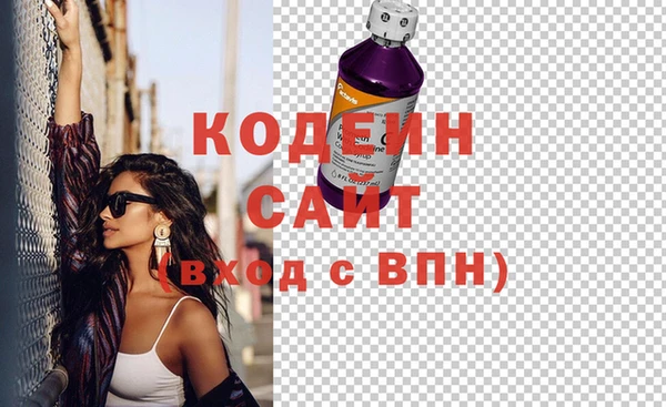 молекула духа Вяземский