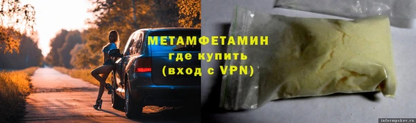 прущие грибы Вязьма