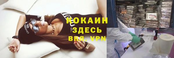 прущие грибы Вязьма