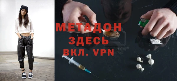 прущие грибы Вязьма