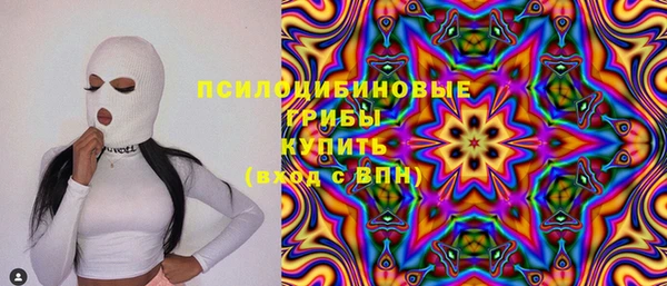 молекула духа Вяземский