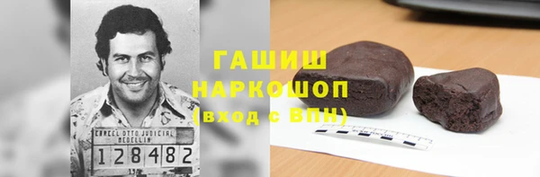 молекула духа Вяземский