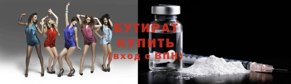 молекула духа Вяземский