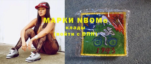 молекула духа Вяземский