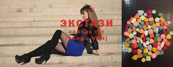 молекула духа Вяземский