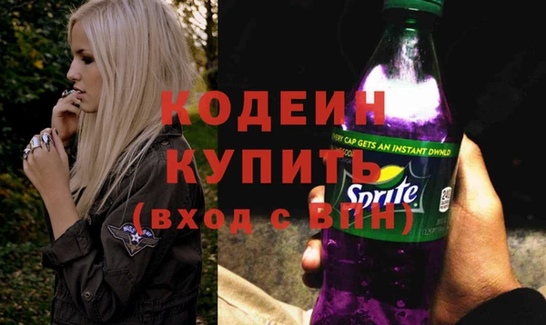молекула духа Вяземский