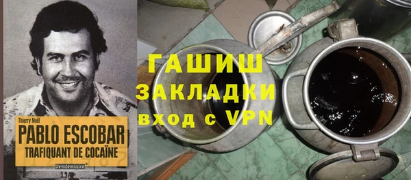 прущие грибы Вязьма