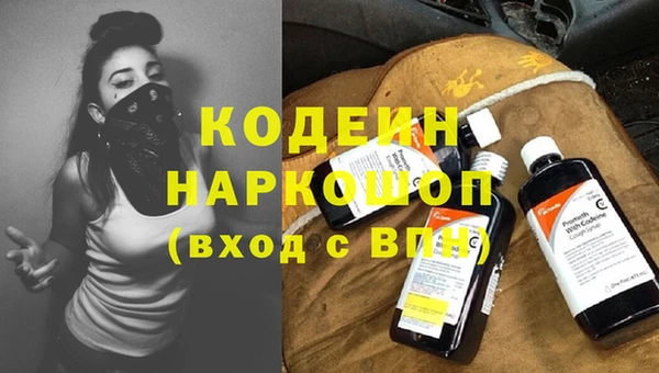 прущие грибы Вязьма