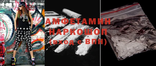 прущие грибы Вязьма