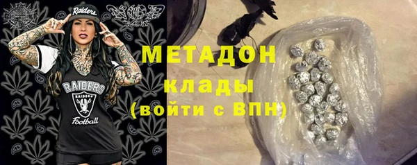 молекула духа Вяземский
