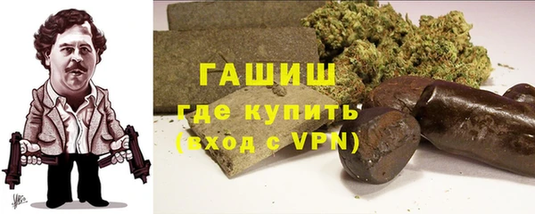 молекула духа Вяземский