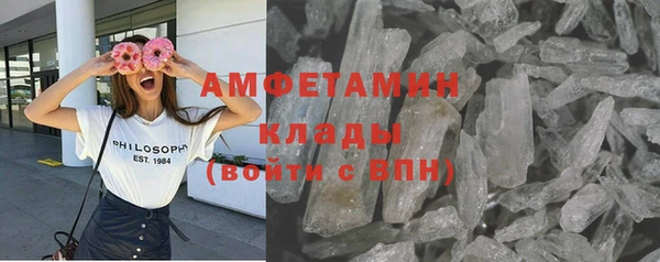 молекула духа Вяземский