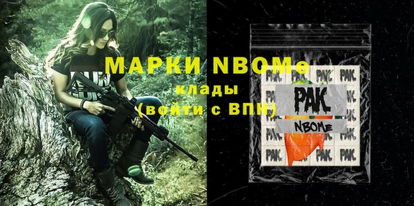 прущие грибы Вязьма