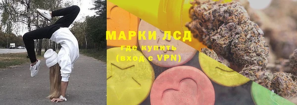 молекула духа Вяземский