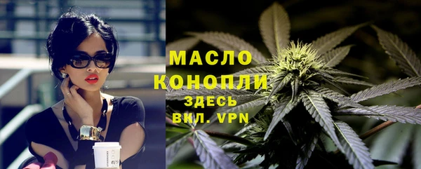 молекула духа Вяземский