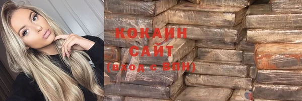 прущие грибы Вязьма
