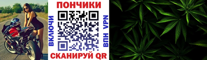 МАРИХУАНА конопля  Купить закладки  Новая Ладога 